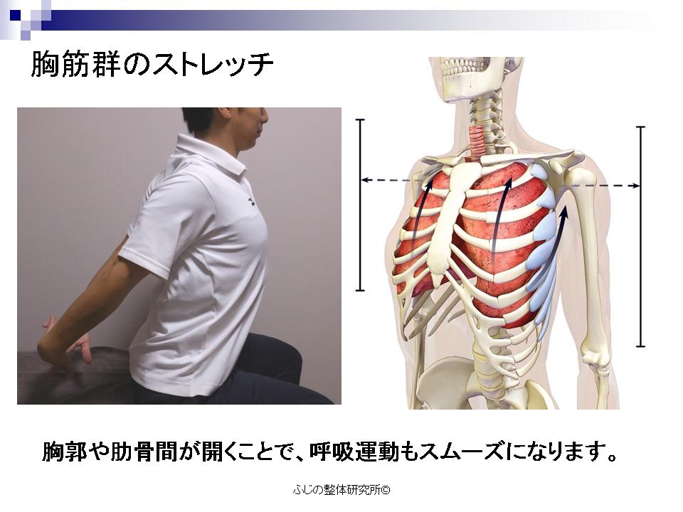 胸筋ストレッチ　座位、胸郭